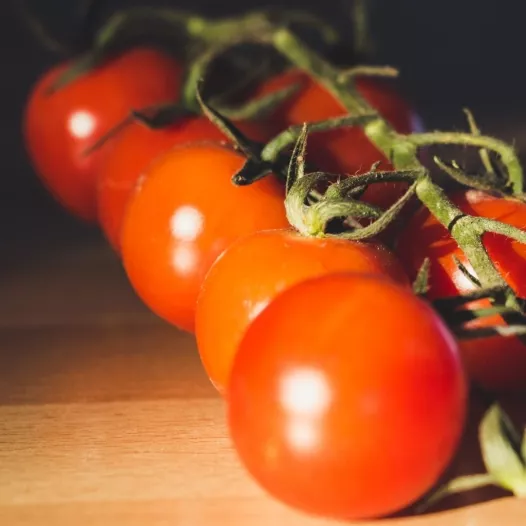 Tomate cerise Gardener's Delight