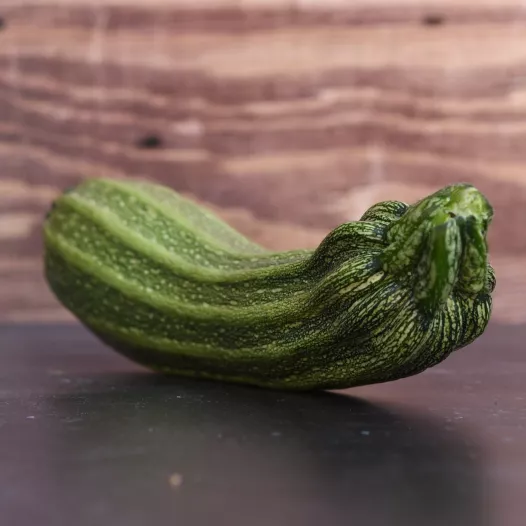 Courgette Costata Romanesco