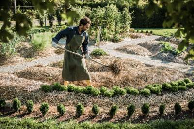 Avantages de la permaculture pour jardinier débutant en France