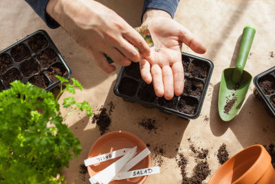 Les kits de semences pour s'initier au jardinage