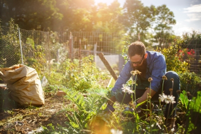 10 bienfaits du jardinage sur votre santé et votre bien-être